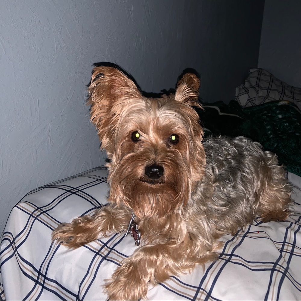 Meet your Posher, Alejandro